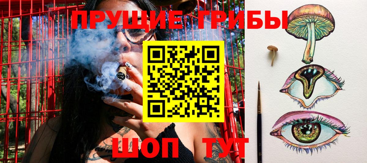 Якутск  Псилоцибиновые грибы Psilocybine cubensis  Вход с VPN 